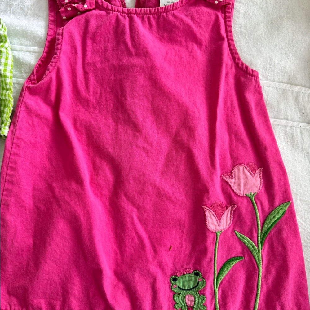 Gymboree Pink Dress with Frog and Tulip Design